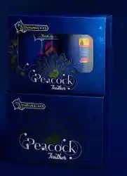 Mega Peacock Feathers (2 Pcs)